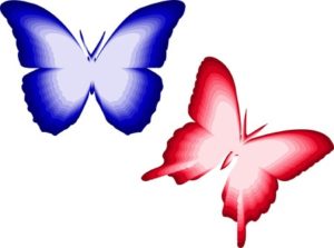 8293023 - illustration of red and blue butterfly