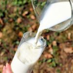 Wszystko co o mleku owczym powinniście wiedzieć
