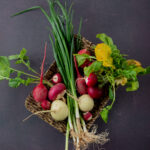 top view of basket plate full of vegetables as red and white radishes scallion on maroon background with copy space